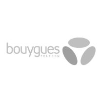 Bouygues Bâtiment Ile de France